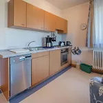 Komfort Appartement mit 1 Schlafzimmer und Balkon im Dachgeschoss 186